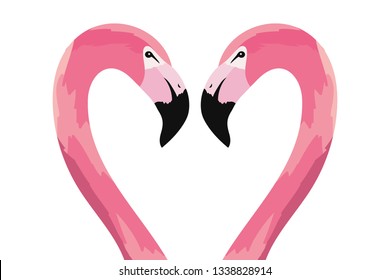 tropical flamingos cartoon