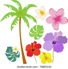 Tropical flora elements