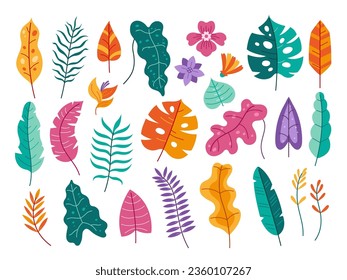 Tropical flora elements. Leaves and flowers of tropical plants isolated flat vector illustration set. Colorful botanical element, forest or Hawaiian foliage of different shape elements