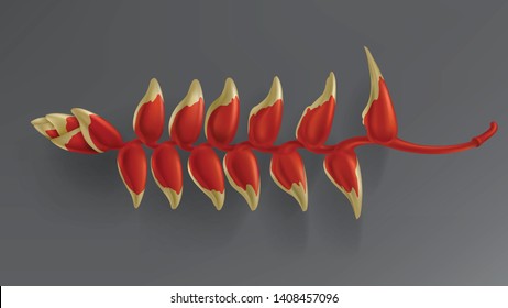 Tropical flora isolated on dark black background vector. Beautiful botanical design with tropic jungle rainforest plant, exotic red golden flower heliconia. Vintage design element