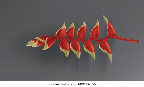 Tropical flora isolated on dark black background vector. Beautiful botanical design with tropic jungle rainforest plant, exotic red golden flower heliconia. Vintage design element