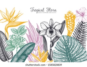 Tropical Flora Vector Frame. Exotic Plants, Flowers, Citrus Fruits, Palm Leaves Sketches. Tropical Background With Orchid, Monstera, Bird Of Paradise, Ginger, Laurel, Hibiscus, Banana Palm Sketches