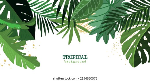 Tropical floral background, green monstera and palm leaves, hand drawn cartoon vector illustration