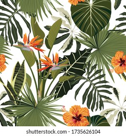 Tropical floral background with palm leaves, plants and hibiscus strelitzia flowers. Hand drawn botanical illustration for tropical party design.