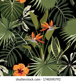 Tropical floral background with palm leaves, plants and hibiscus strelitzia flowers. Hand drawn botanical illustration for tropical party design.