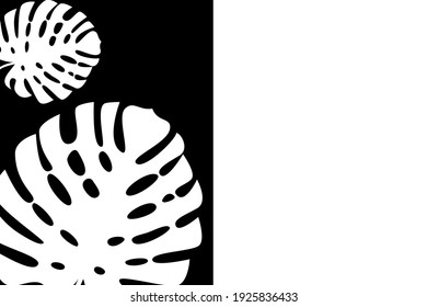 Tropical floral background. Special place for design and text. Black and white pattern
