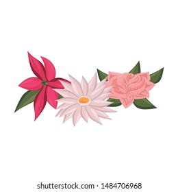 tropical floral botanical environment, beautiful spring flowers cartoon vector illustration graphic design