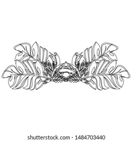 tropical floral botanical environment leaves cartoon vector illustration graphic design