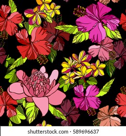 Tropical floral colorful pattern exotic plants and flowers blossom hibiscus and green leaves foliage. Vector hand drawn illustration on a black.