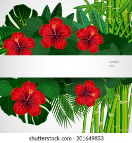 Tropical floral design background.