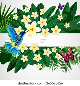Tropical floral design background with bird, butterflies.