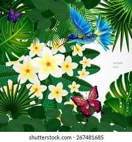 Tropical floral design background with bird, butterflies.