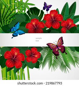 Tropical floral design background with butterflies.