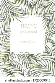 Marco floral tropical.Fondo exótico vectorial. Plantilla para invitación, volante, tarjeta, banner.