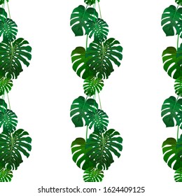 Tropical floral illustration with Green Monstera plant. Vector seamless pattern