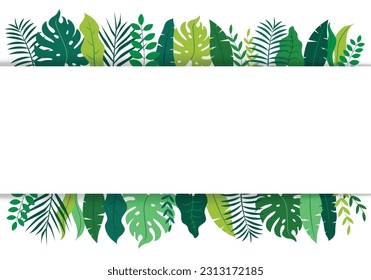 tropical floral leaf and frame on white banner background. Fresh rainforest tropical plants frame background. monstera and palm tree copy space center. vector illustration flat design.