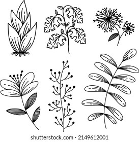 Tropical Floral Monoline Style Beautiful Flower Illustration Template