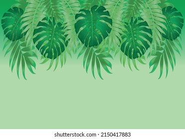 Tropical Floral Print with Exotic Green Jungle Leaves on green Background. Rainforest Plants Wallpaper Template, Nature Textile Ornament, Philodendron Monstera Flowers Vector Illustration
