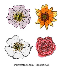 Tropical floral set. Tropical exotic and domestic summer flowers collection in bright colors and drawing style. Vector illustration.
