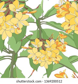 Tropical floral summer seamless pattern background with plumeria flowers with leaves. White backdrop.
