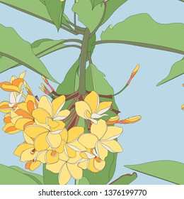 Tropical floral summer seamless pattern background with plumeria flowers with leaves. Vintage blue backdrop.
