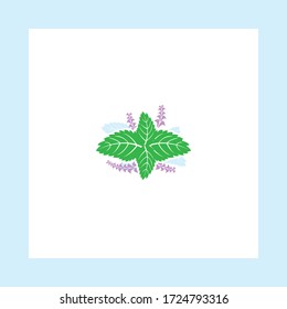 Tropical and floral vector designs. Suitable for enlarging and fully editable.