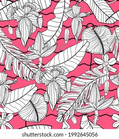 Tropical Floral vector seamless pattern with leaf Philodendron banana and palm leaves on red background, line art drawing