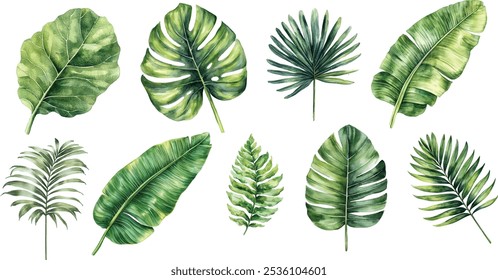 Coleção de aquarelas florais tropicais, palmeira areca, banana larga, samambaia, figo de folha de violino, monstera grande e folhas de palmeira longas. Perfeito para cartazes, convites e design de cartão de saudação.