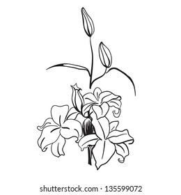 Tropical flower