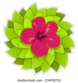 Tropical flower