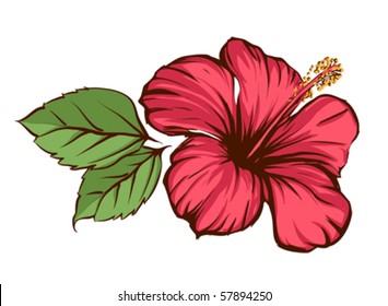 Tropical flower