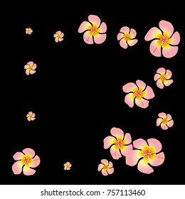 Tropical flower Background. Floral design Pattern. Gentle Floral Frame. Modern simple style. Romantic Design. Greeting Card, Invitation. Black background. Modern Creative Pattern. Vector