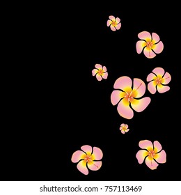 Tropical flower Background. Floral design Pattern. Gentle Floral Frame. Modern simple style. Romantic Design. Greeting Card, Invitation. Black background. Modern Creative Pattern. Vector