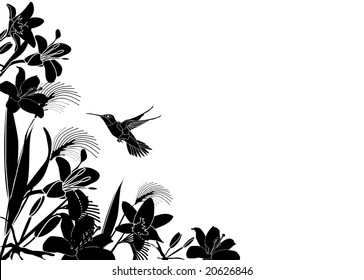 Tropical Flower background with hummingbird