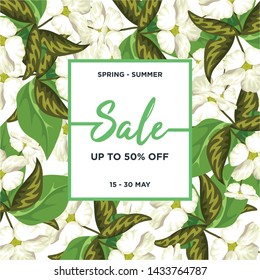 Tropical flower background texture. Spring Summer Sale banner template design. Big sale special offer. Special offer banner for poster, flyer, brochure, sticker. Flower petals vector illustration.