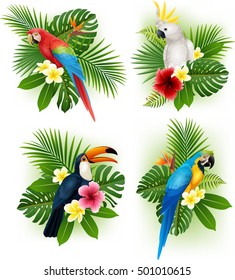 Conjunto de colección de flores y aves tropicales
