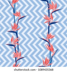 Tropical flower bird of paradise vector seamless pattern. Creative african crane flower or strelitzia reginae blossom floral textile pattern. Jungle paradise tropical plant wallpaper zigzag design.