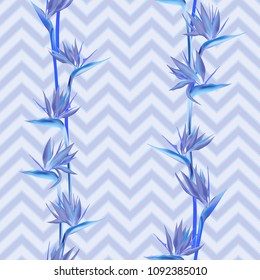 Tropical flower bird of paradise vector seamless pattern. Exotic african crane flower or strelitzia reginae blossom floral textile pattern. Jungle paradise tropical plant background.
