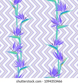 Tropical flower bird of paradise vector seamless pattern. Vivid african crane flower or strelitzia reginae blossom floral textile pattern. Jungle paradise tropical plant background.