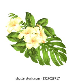 Tropical flower bouquet for your summer holidays card. Vector illustration. Blossom flowers for invitation card over white background. Vector illustration.