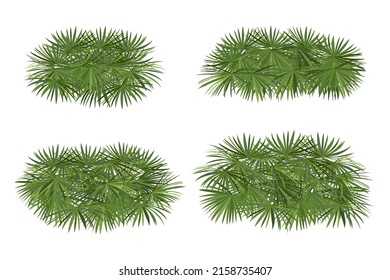 Tropical  flower bush shrub illustration. drawing vector bush and shrub modern single line art aesthetic shapes