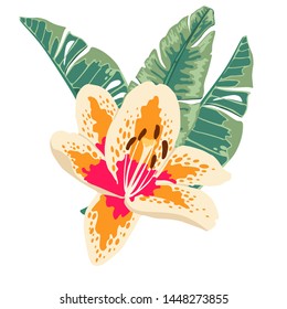 tropical flower , cartoon style ,vector isolated on white background