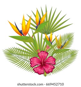 tropical flower decorative frame