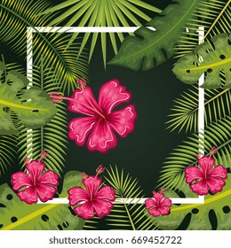 tropical flower decorative frame