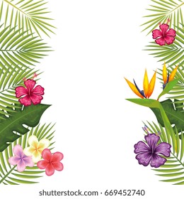 tropical flower decorative frame