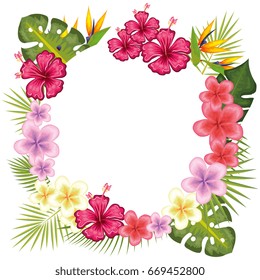 Tropical Flower Decorative Frame