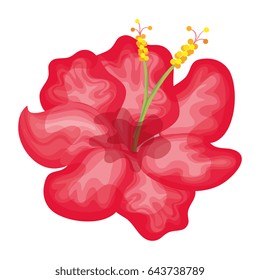 tropical flower decorative icon
