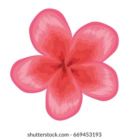 tropical flower decorative icon