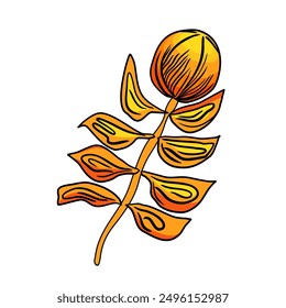 Tropical flower in doodle style vector illustration 