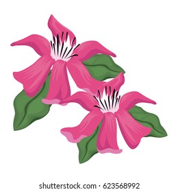 tropical flower foliage plant